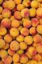 Background from apricots