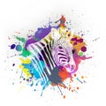 Background Art With Color Zebra With Colorful Creative Elements Splashes Art Design