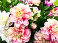 Background of artificial flowers Royalty Free Stock Photo