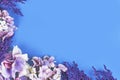 Background with artificial pink textile hydrangea flowers and purple branches in lower left corner