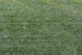 Background artificial turf green grass