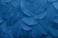 Background from autumn fallen leaves close-up in color Pantone classic blue 2020.