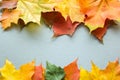 Background from autumn leaves Royalty Free Stock Photo
