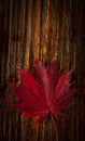 Autumn leaves of japanese palm tree maple on wood texture background Royalty Free Stock Photo