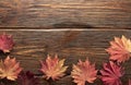 Autumn leaves of japanese palm tree maple on wood texture background Royalty Free Stock Photo