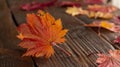 Autumn leaves of japanese palm tree maple on wood texture background Royalty Free Stock Photo