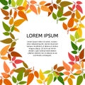 Background with autumn leaves with a place in the center for your text Royalty Free Stock Photo