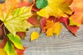 Background from autumn leaves on the wood Royalty Free Stock Photo