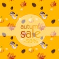 Autumn sale 50%