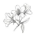 background Azalea flower ai generated