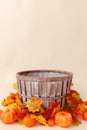 Newborn digital autumn background with pumpkins Royalty Free Stock Photo