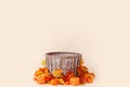 Newborn digital autumn background with pumpkins Royalty Free Stock Photo