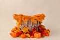 Newborn digital autumn background with pumpkins Royalty Free Stock Photo