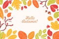 Background or backdrop with frame or border made of fallen dried leaves, acorns, cones, berries and Hello Autumn phrase