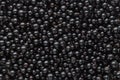 Background of backfilling of black currant berries close up Royalty Free Stock Photo