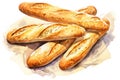 Background bakery bake loaf flour bread baguette fresh breakfast brown food Royalty Free Stock Photo