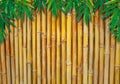 Background Of A Bamboo Fence with bamboo-leaves Royalty Free Stock Photo