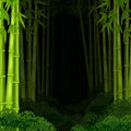 Background bamboo forest at night Royalty Free Stock Photo