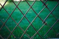 Background bamboo net on green grass background.