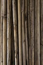 Background of bamboo