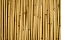 Background of bamboo sticks