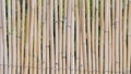 Background of a bamboo fence Royalty Free Stock Photo