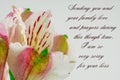 Deepest condolence white flowers on white background with text