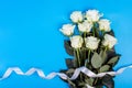 Background for banners, beautiful boquet of white roses ribbon an isolated blue background with copyspace. Royalty Free Stock Photo