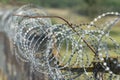 Background from barbed wire fence. Secured territory. Selective focus Royalty Free Stock Photo