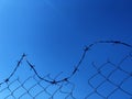 Background of a barbwire fence against a blue sky Royalty Free Stock Photo