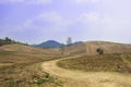 Background barren mountains, trees wilted leaves are filled in the summer Royalty Free Stock Photo