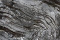 Background on the basis of the texture of rock. Black and gray stone with wavy inclined layers and cracks Royalty Free Stock Photo