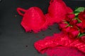 Sexy black background with  knickers  bra and red roses Royalty Free Stock Photo