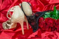 Sexy black background with  knickers and red roses Royalty Free Stock Photo
