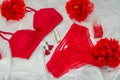 Red underwear knickers in gliter red box heart shaped