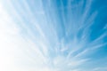 Background of Beautiful Blue sky and clouds are radial shaped In bright weather days