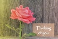 Thinking of you card Royalty Free Stock Photo