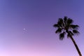 Background with beautiful evening sky with moon and silhouette of coconut palm tree Royalty Free Stock Photo