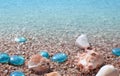 Background with beautiful seashells on wet sand Royalty Free Stock Photo