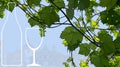 Background with a beautiful vine with green grapes the contour of the bottle and glass