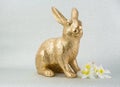 gold Easter bunny rabbit on white background Royalty Free Stock Photo