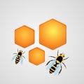 Background with bees and honeycombs.