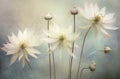 background beige flower floral pastel minimal nature light vintage concept natural. Generative AI. Royalty Free Stock Photo