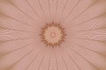 Background beige flower pattern floral. brown indian Royalty Free Stock Photo