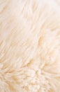 Background of beige fur Royalty Free Stock Photo