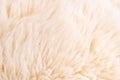 Background of beige fur Royalty Free Stock Photo