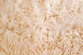 Background of beige fur Royalty Free Stock Photo