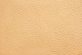 Background of beige leather.