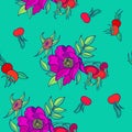 Background with berries, flowers and leaves of wild roses. Vector seamless pattern Royalty Free Stock Photo