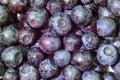 Background of berries of fresh forest blueberries, macro photography, bilberry, hurtleberry Royalty Free Stock Photo